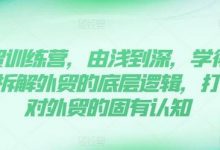 外贸训练营，由浅到深，学得超快，拆解外贸的底层逻辑，打破你对外贸的固有认知-蜗牛学社