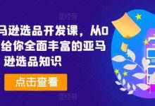 亚马逊选品开发课,从0到1,带给你全面丰富的亚马逊选品知识-蜗牛学社