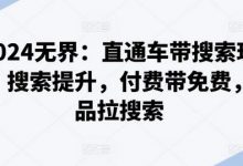 无界：直通车带搜索玩法，搜索提升，付费带免费，爆品拉搜索-蜗牛学社