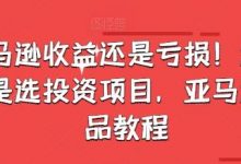 亚马逊收益还是亏损！选品就是选投资项目，亚马逊选品教程-蜗牛学社