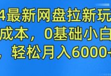 最新网盘拉新玩法,无需成本,0基础小白可做,轻松月入6000+-蜗牛学社