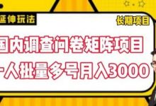 国内调查问卷矩阵项目，一人批量多号月入3000-蜗牛学社