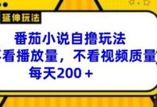 番茄小说自撸玩法，不看播放量，不看视频质量，每天200+-蜗牛学社