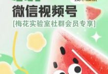 梅花实验室年AB技术视频号AB合成PJ版-蜗牛学社
