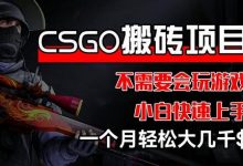 CSGO 装备搬砖项目，操作简单，不需要会玩游戏，小白也能快速上手，一个月轻松大几千-蜗牛学社