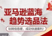 【训练营】亚马逊蓝海趋势选品法，玩转信息差，成功快速套利-蜗牛学社