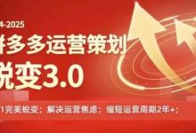 -2025拼多多运营策略蜕变3.0，0~1完美蜕变，解决信息焦虑-蜗牛学社