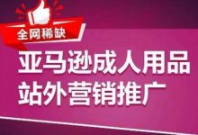 全网稀缺！亚马逊成人用品站外营销推广，​教你引爆站外流量，开启爆单模式-蜗牛学社
