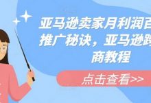 亚马逊卖家月利润百万的推广秘诀,亚马逊跨境电商教程-蜗牛学社