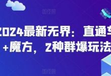 最新无界：直通车+魔方，2种群爆玩法-蜗牛学社