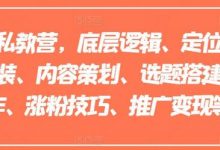 小红书私教营，底层逻辑、定位赛道、账号包装、内容策划、选题搭建、爆款创作、涨粉技巧、推广变现等等-蜗牛学社