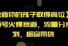 【恭喜你的孩子取得高位】AI视频号火爆赛道，流量分成计划，橱窗带货-蜗牛学社