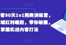 实体获客90天1v1陪跑训练营，实体同城红利崛起，带你破圈，掌握实战内容打法-蜗牛学社