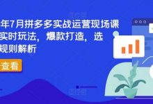 年7月拼多多实战运营现场课程,实时玩法,爆款打造,选品、规则解析-蜗牛学社