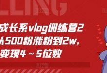 个人成长系vlog训练营2期，从500粉涨粉到2w，变现4～5位数-蜗牛学社