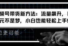 视频号带货新方法：流量飙升，日入千元不是梦，小白也能轻松上手-蜗牛学社