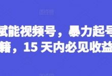 AI赋能视频号，暴力起号秘籍，15 天内必见收益-蜗牛学社