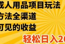 最新成人用品项目玩法，方式方法全渠道，轻松日入2K+-蜗牛学社
