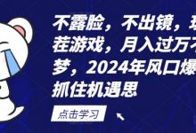 不露脸，不出镜，玩转找茬游戏，月入过万不是梦，年风口爆发，抓住机遇-蜗牛学社