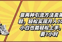靠两种引流方法卖莆田高端鞋,轻松实现月入1W+,小白也能轻松上手,每天只要1小时-冒泡网