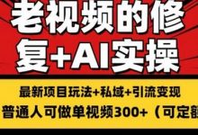 修复老视频的玩法，搬砖+引流的变现(可持久)，单条收益300+-蜗牛学社