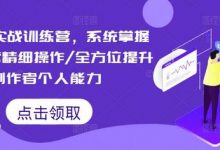 短视频实战训练营，系统掌握账号运营精细操作/全方位提升创作者个人能力-蜗牛学社