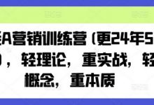 老A营销训练营(更24年8月)，轻理论，重实战，轻概念，重本质-蜗牛学社