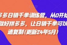 拼多多日销千单训练营，从0开始带你做好拼多多，让日销千单可以快速复制(更新24年8月)-冒泡网