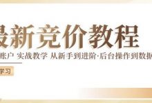 竞价教程:真实账户 实战教学 从新手到进阶·后台操作到数据优化-蜗牛学社
