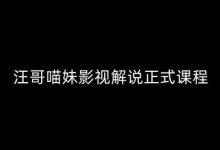汪哥影视解说正式课程：剪映/PR教学/视解说剪辑5大黄金法则/全流程剪辑7把利器等等-蜗牛学社