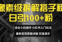 像素级拆解搭子粉，日引100+，小白看完可上手，最新变现思路详解-蜗牛学社