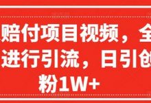 爆火赔付项目视频，全网平台进行引流，日引创业粉1W+-蜗牛学社