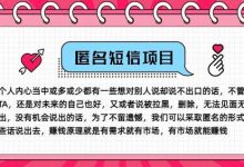冷门小众赚钱项目，匿名短信，玩转信息差，月入五位数-蜗牛学社