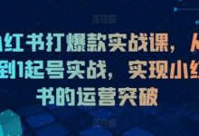 小红书打爆款实战课,从0到1起号实战,实现小红书的运营突破-蜗牛学社