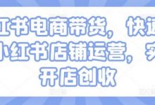 小红书电商带货，快速掌握小红书店铺运营，实现开店创收-蜗牛学社