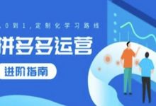 拼多多运营进阶指南，从0到1定制化学习路线-蜗牛学社
