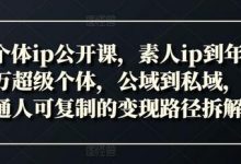 新个体ip公开课，素人ip到年入百万超级个体，公域到私域，普通人可复制的变现路径拆解-蜗牛学社