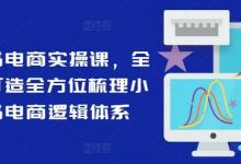 小红书电商实操课，全体系打造全方位梳理小红书电商逻辑体系-蜗牛学社