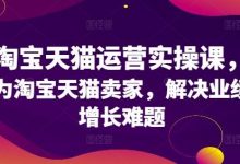 淘宝天猫运营实操课，为淘宝天猫卖家，解决业绩增长难题-蜗牛学社