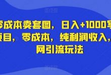 零成本卖套图，日入+1000写真项目，零成本，纯利润收入，全网引流玩法-蜗牛学社