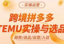 跨境拼多多TEMU实操与选品，多多temu跨境选品运营实操-蜗牛学社