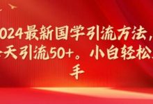 最新国学引流方法，每天引流50+，小白轻松上手-蜗牛学社