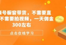 视频号橱窗带货，不需要直播，不需要拍视频，一天佣金300左右-蜗牛学社