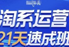 淘系运营21天速成班(更新24年8月),0基础轻松搞定淘系运营,不做假把式-蜗牛学社