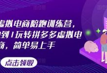 拼多多虚拟电商陪跑训练营,教你从0到1玩转拼多多虚拟电商,简单易上手(更新)-蜗牛学社