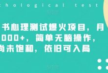 小红书心理测试爆火项目，月入7000+，简单无脑操作，尚未饱和，依旧可入局-蜗牛学社