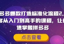拼多多爆款打造标准化流程2.0，一套从入门到高手的课程，让你快速掌握拼多多-蜗牛学社