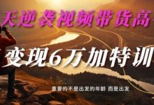 30天逆袭视频带货高手，单月变现6万加特训营-麦子甜-蜗牛学社