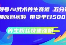 视频号AI武术养生赛道，五分钟一条原创视频，带货单日几张，养生粉丝快速涨粉-蜗牛学社