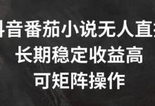 抖音番茄小说无人直播，长期稳定收益高，可矩阵操作-蜗牛学社